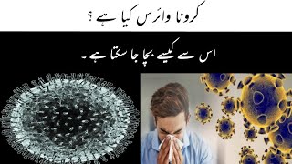 Coronavirus Explained in Urdu | Complete Story and Facts