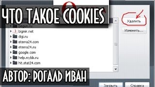 Что такое cookies (куки) и как включить cookies