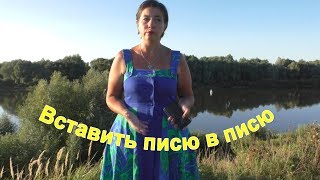Вставить писю в писю