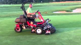 New Toro Triflexes