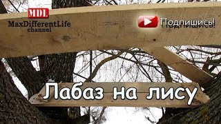 Обзор моего лабаза на лису