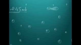 Save Baltic Sea