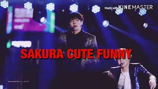 SAKURA [IZONE] CUTE FUNNY MOMENT