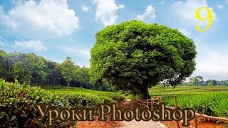 Уроки Photoshop CS6   Как обрезать изображение