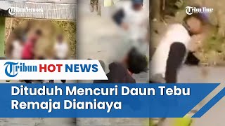 Remaja di Lumajang Dianiaya 3 Orang, Dituduh Mencuri Daun Tebu