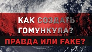 Как сделать Гомункула? | Правда или FAKE ?