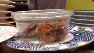 Conveyor belt sushi or zoo?