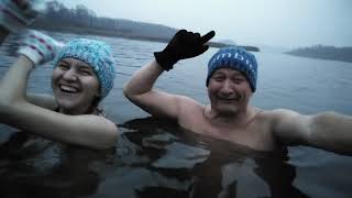 Моржи в воде