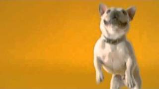 PEDIGREE commercial; Jumper!