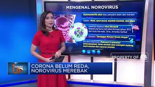 Belum Reda, Norovirus Merebak