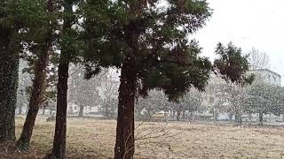 20 01 2021 снег идет Бывшая Турбаза КЗакВО ул Руставели Кобулети Видео Артур Мартиросян Грузия