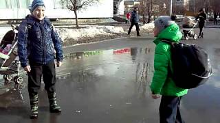 Я веселый таракан