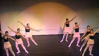 Pantera Cor de Rosa - Ballet Adulto