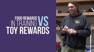 Toy vs Food Reward - Michael Ellis