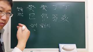 계사일주 일주론 - 피클의 행복한 명리