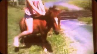 Girls failed attempt to ride a minature pony called cheeky