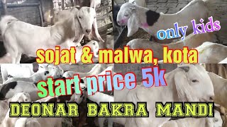 Deonar Bakra Mandi || saturday update || sojat kota & malwa 21 december 2019