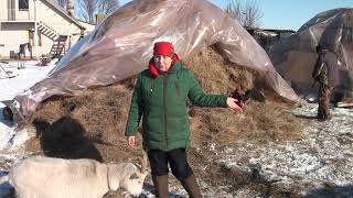 ЗИМНЕЕ БЕЗДЕНЕЖЬЕ в ДЕРЕВНЯХ! Дайте пачку сигарет!))