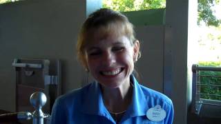 Disney Monthly Florida Resident Annual Pass with Darcy