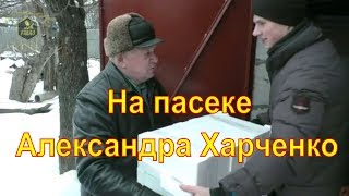 С Германии да в Дергачи) ? В гостях у самого перспективного пчеловода Харькова
