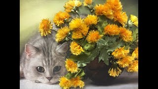 ОДУВАНЧИКИ -- ШКОЛА ВЫШИВКИ ЛЕНТАМИ Татьяны Шелиповой
