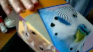 My New Hamster 2 LOL