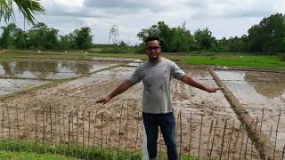 Bangladesh - India Border, Sylhet corner