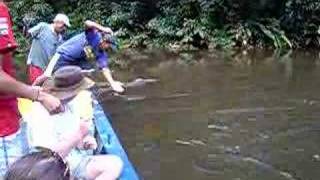 Piranah fishing-Amazon Peru-I know he catches Pacu not piran