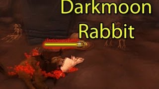 Mists of Pandaria Beta: Darkmoon Faire Rabbit | WoWcrendor