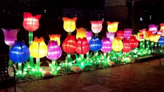 Festival de luces chino en Atlanta jrg