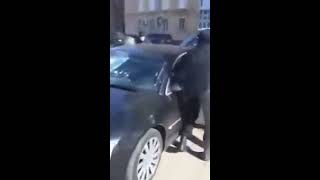 Жёсткое задержание бандитов