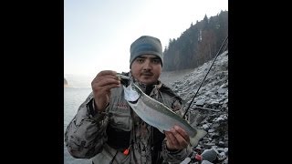 Catch & Release 42 - Pastrav Curcubeu pe lacul Izvorul Muntelui Bicaz
