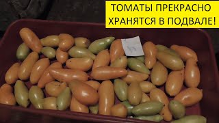 ПРИГЛАШАЮ ВАС В МОЙ ПОДВАЛ. КАК ДОЛГО ХРАНЯТСЯ ТОМАТЫ? 