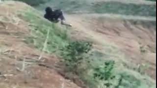 Horrific moment a taxi driver is mauled to death by a bear after trying to take a selfie