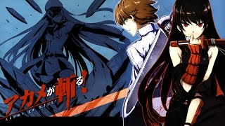 Rika Mayama - Liar Mask (Akame ga Kill! アカメが斬る! OP 2) [GUITAR COVER]