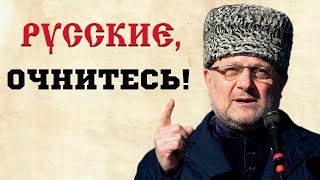 Чеченский министр: «Русские православные братья, что вы творите с собой?»