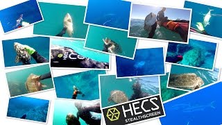 Spearfishing with HECS! Pole Spear Kill Shot Compilation -- Watch in HD