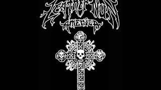 Leather Nun America - Troglodyte