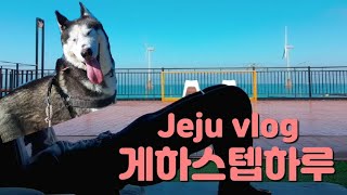 [제주살이여행vlog] 제주도게스트하우스 스텝 하루일과는 어떨까?