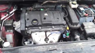 пежо 307 диагностика. ds150e.