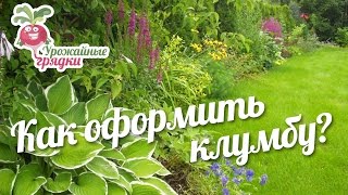 Как оформить клумбу? Что посадить возле газона? #urozhainye_gryadki