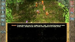 BG Baldur's Gate Fighter Kensai vs Drizzt Do'Urden and his companions