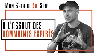 ? [ZennoPoster / Shopify / SEO] A l'Assaut des Domaines Expirés