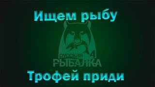 Русская рыбалка 4.где бы пофармить.Турнир на линейку новогодних приманок!