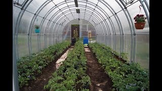 ДАЧА. НОВЫЙ ВИД ГРЯДКИ.БИОТОПЛИВО ЧТО ЭТО. ЦВЕТОЧНАЯ ОВОЩНАЯ РАССАДА. ЧАСТЬ 3.