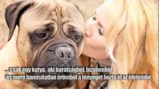 In memoriam Alf