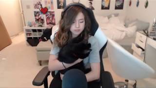 POKIMANE PUSSY ON LIVE STREAM
