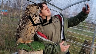 День высотного флешмоба. Огоньки поменяли, сову побесили, Егора проводили