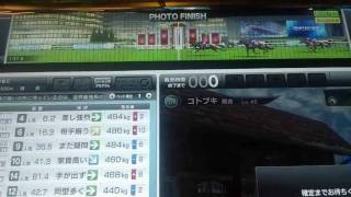 スタホ3 3代目で出来た無敗のSWBC優勝馬 怪物!?