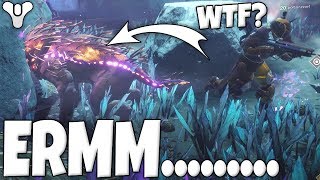 Prestige Raid Is Broke - Destiny 2 WTF GLITCH - Confused Dogs..
